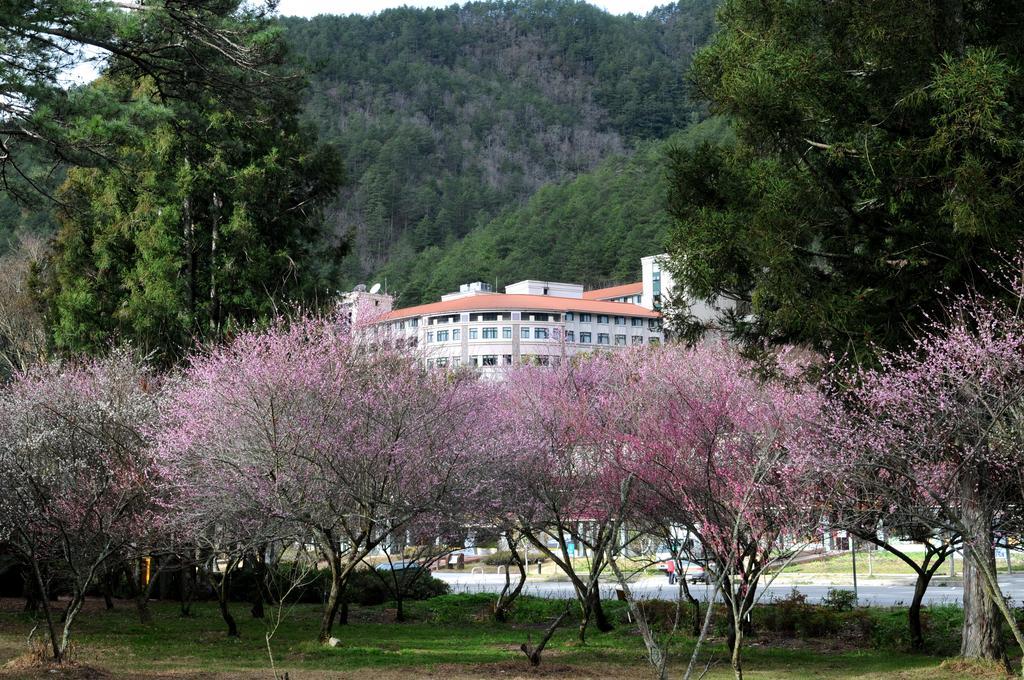 Hoya Resort, Wuling Heping  Extérieur photo